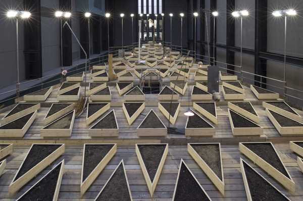 Abraham Cruzvillegas, Empty Lot: giàn giáo mang lưới khay gỗ tam giác chứa đất dưới đèn trong Turbine Hall, Tate Modern