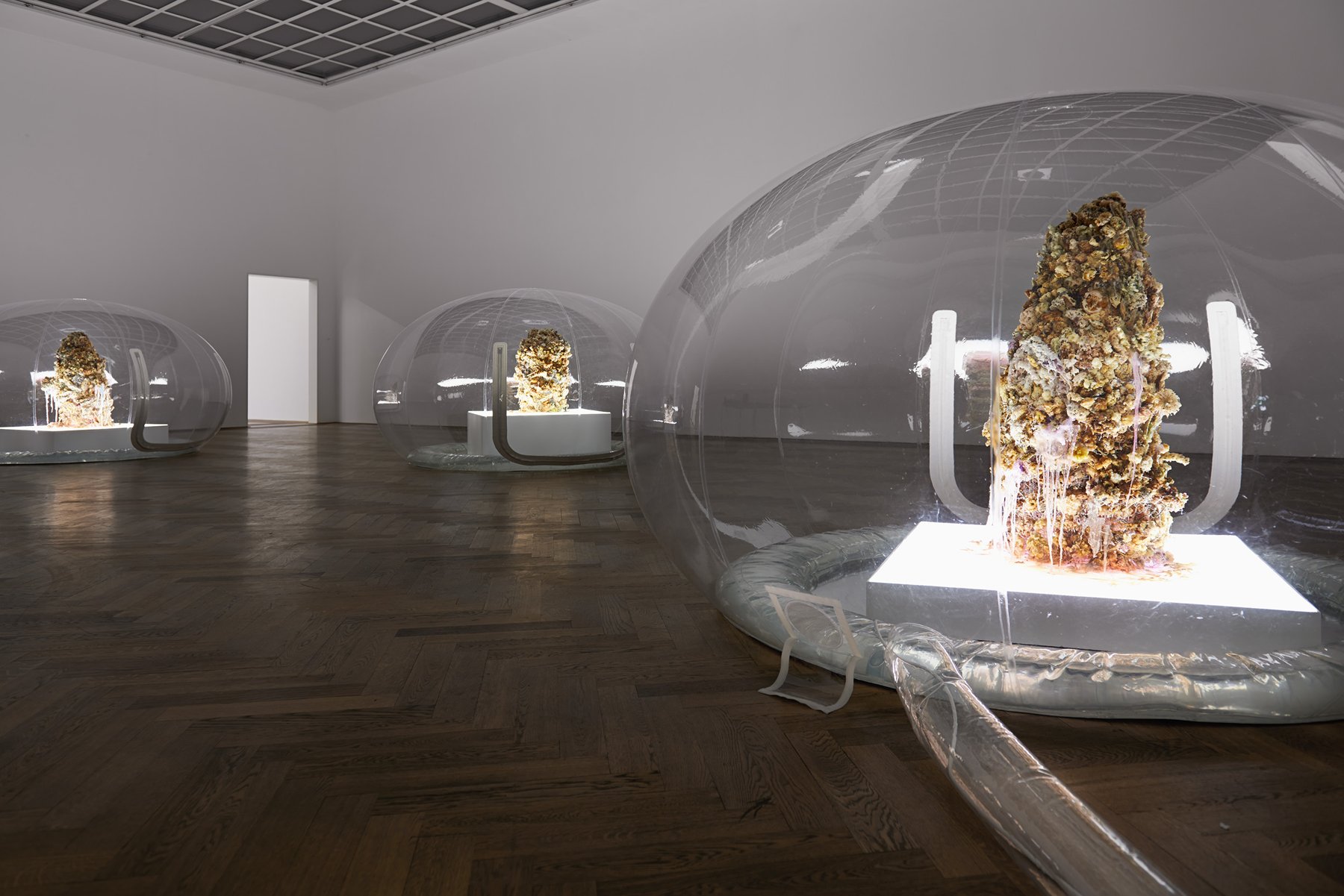 Anicka Yi, 7,070,430K of Digital Spit: phòng trưng bày tại Kunsthalle Basel với các sắp đặt từ vật liệu dễ hỏng