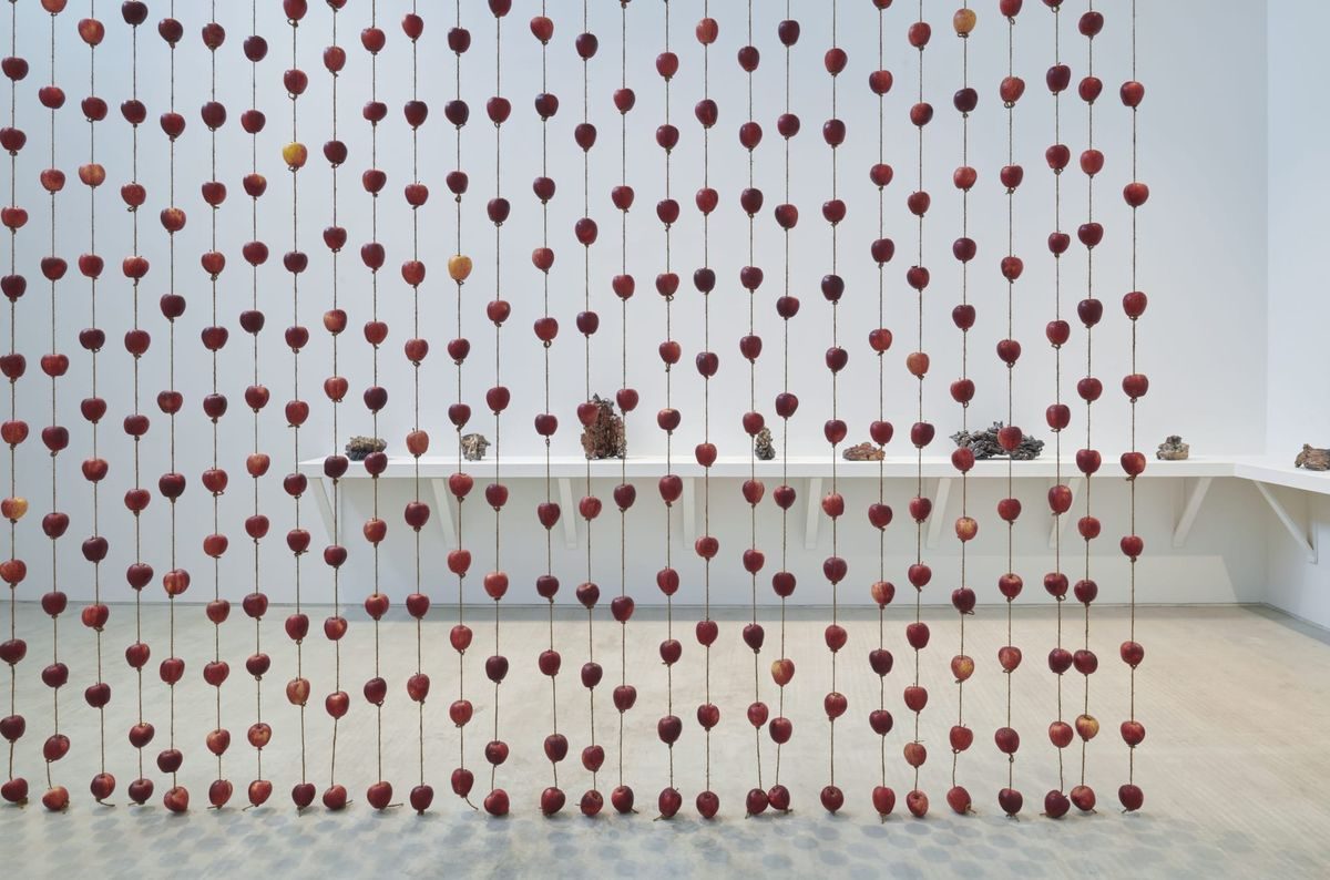 Anya Gallaccio. Falling from grace.