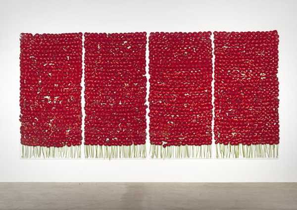 Anya Gallaccio. preserve 'beauty'.
