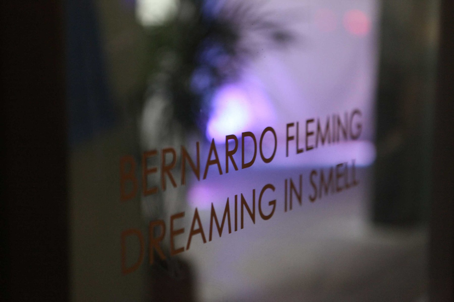 Bernardo Fleming, Dreaming in Smell: ga giường và gối có mùi phơi trên dây và kệ trong phòng trưng bày