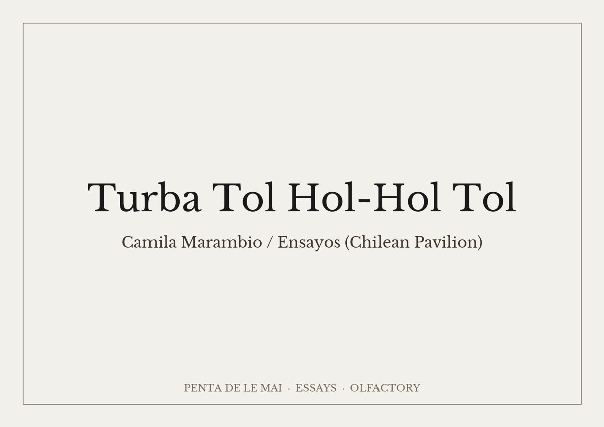 Turba Tol Hol-Hol Tol.