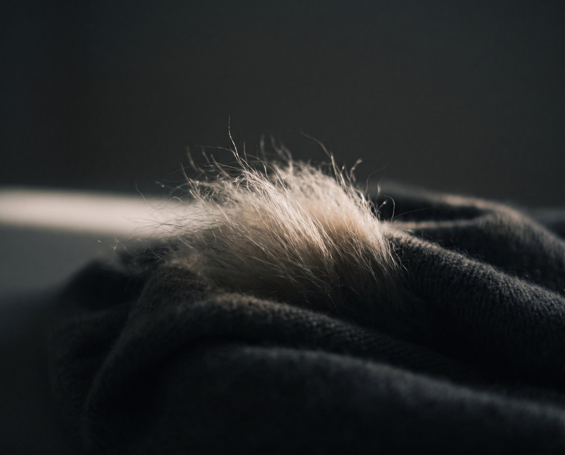 Cận cảnh sợi len cashmere mềm, màu kem, những sợi mảnh xoắn vào nhau