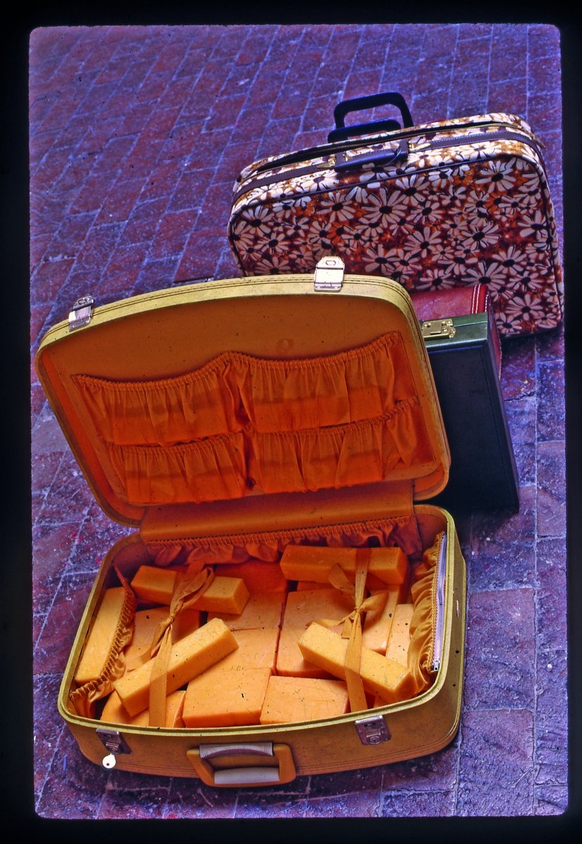 Dieter Roth, Staple Cheese (A Race): những chiếc vali mở đặt trong phòng trưng bày, bên trong là pho mát đang phân huỷ
