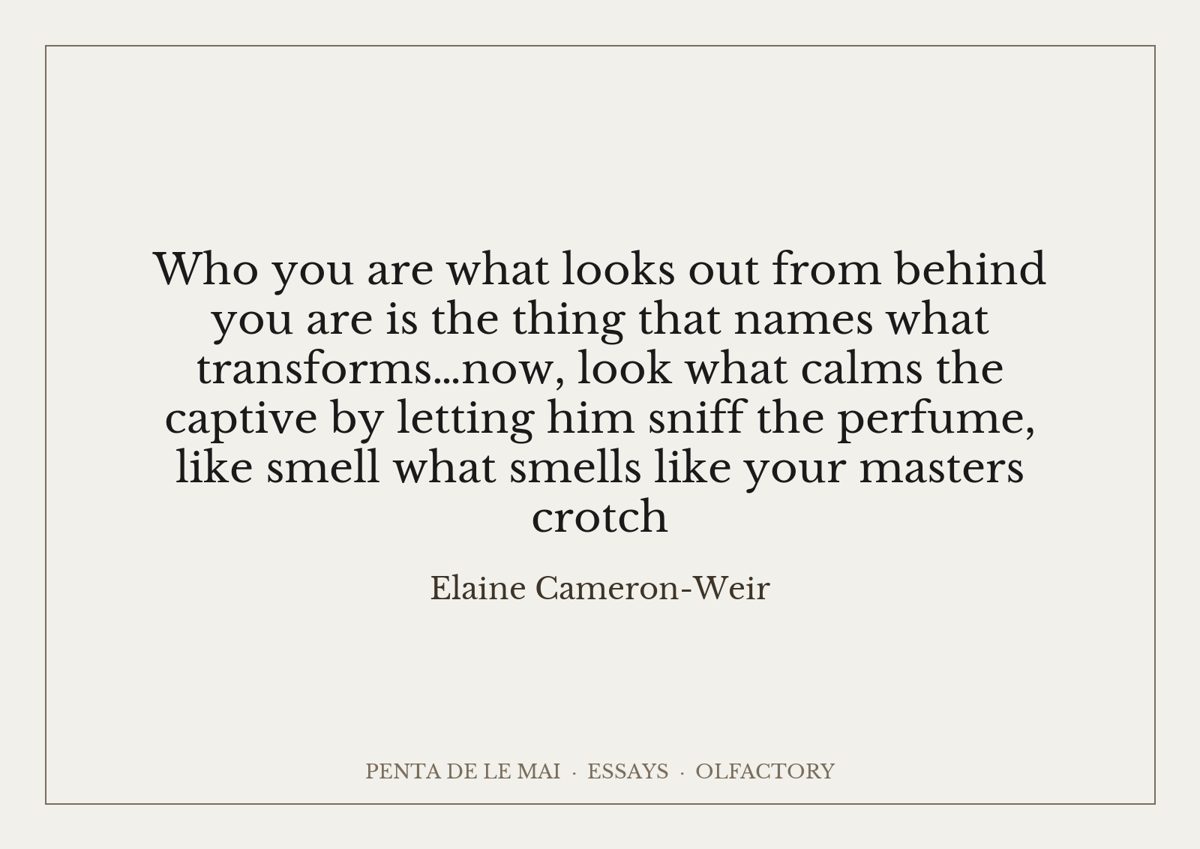 Elaine Cameron-Weir. Who you are what looks out from behind you are is the thing that names what transforms…now, look what calms the captive by letting him sniff the perfume, like smell what smells like your masters crotch.