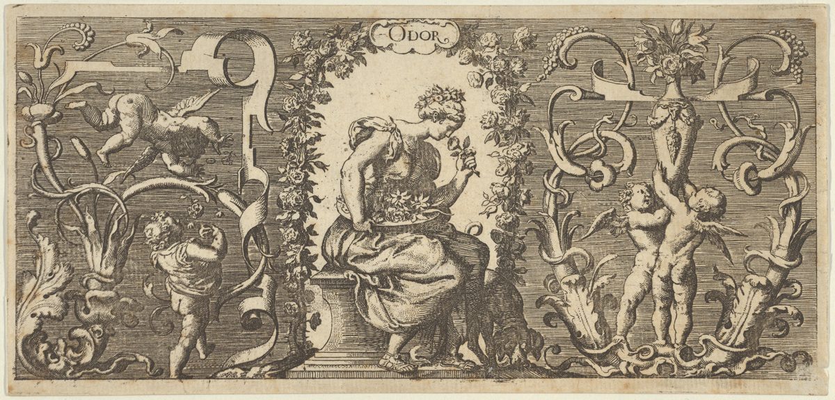 Franz Cleyn. Smell (Odor).