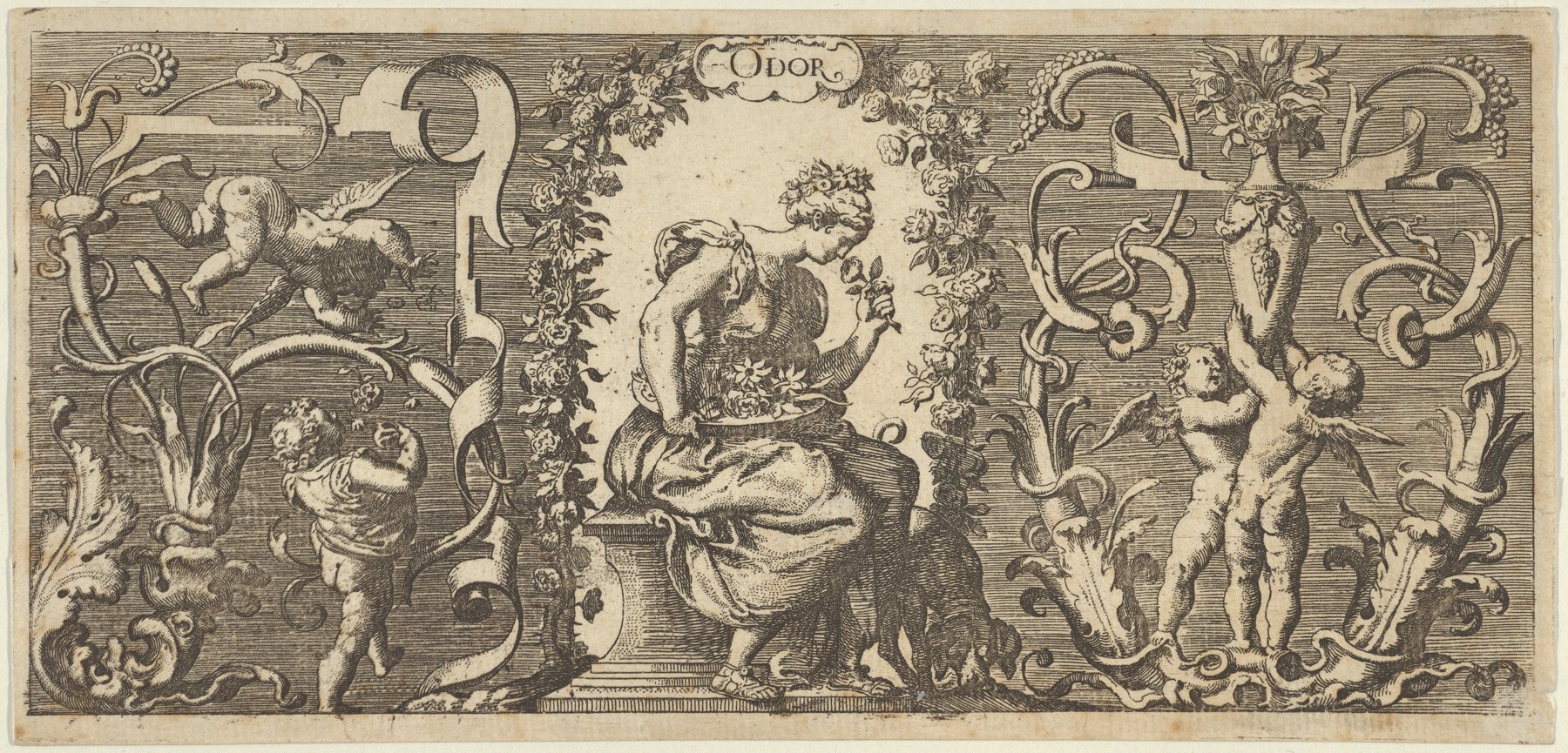 Franz Cleyn, Smell (Odor): horizontal engraving of a woman crowned with flowers smelling a blossom amid scrolling foliage and putti