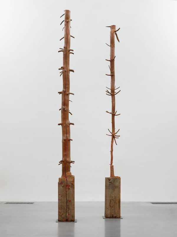 Giuseppe Penone. Tree of 12 Metres.