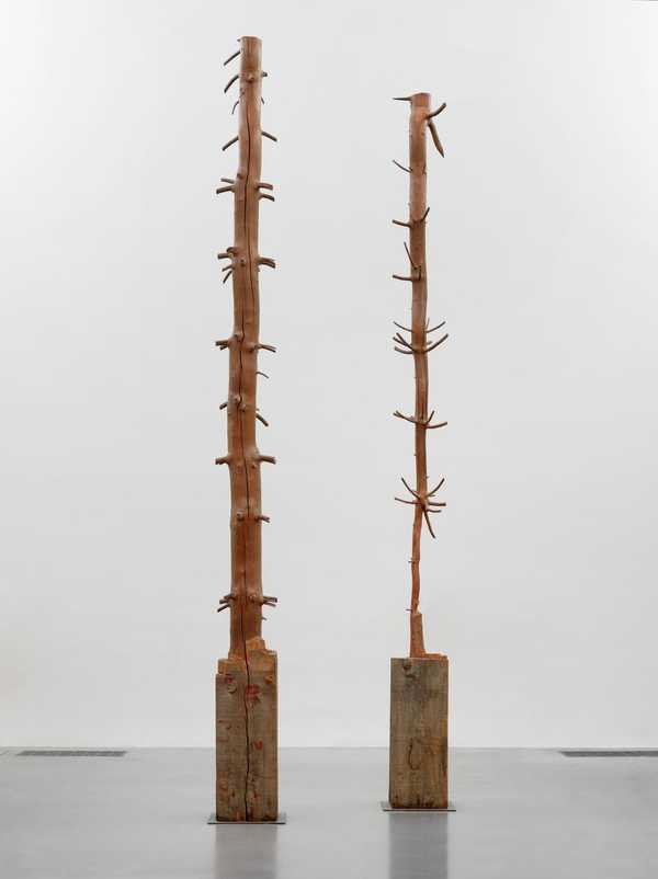 Giuseppe Penone, Tree of 12 Metres: hai phần của một thanh gỗ xẻ, từ đó hiện ra thân và cành của một cây non được gọt lộ ra