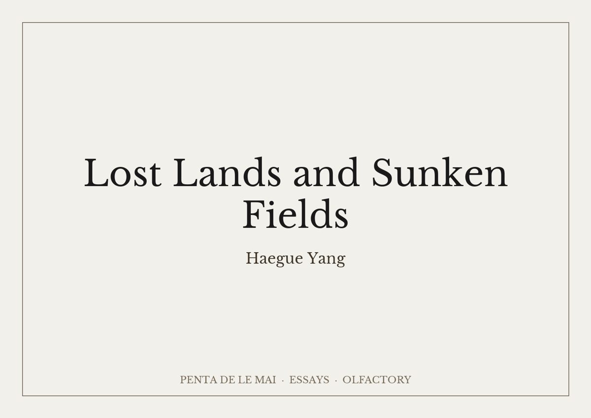 Haegue Yang. Lost Lands and Sunken Fields.