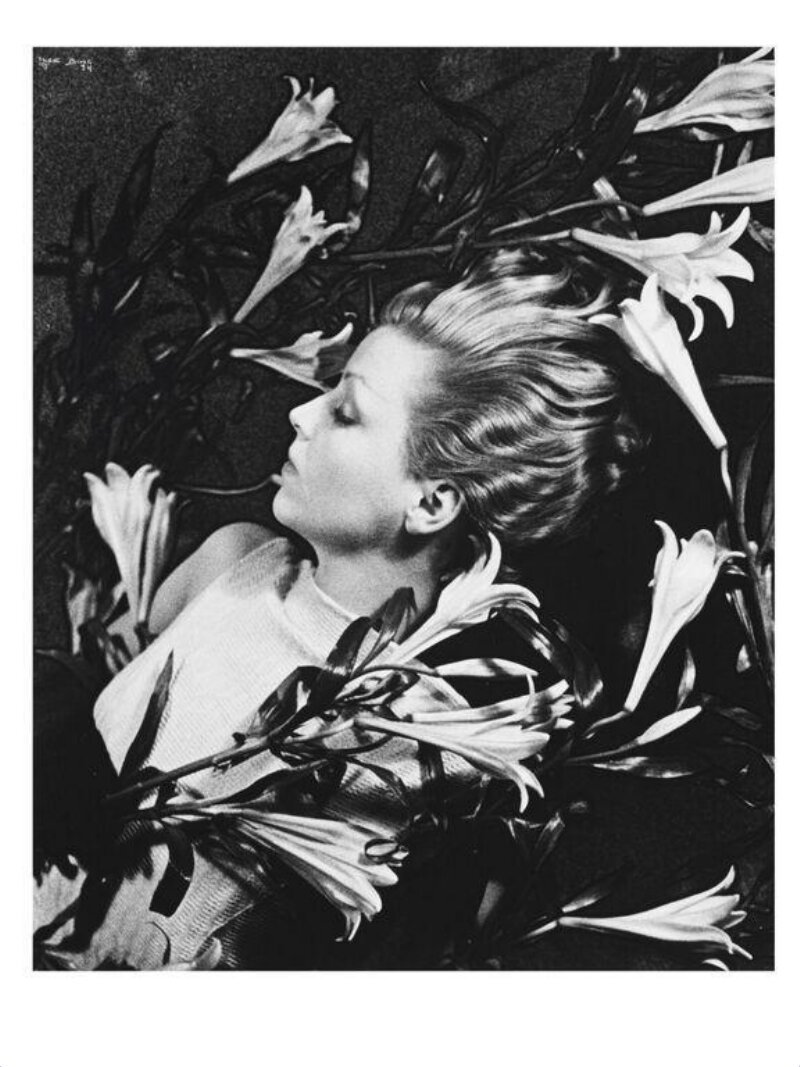 Ilse Bing, Salut de Schiaparelli: ảnh gelatin bạc solarise, người phụ nữ nằm giữa hoa loa kèn