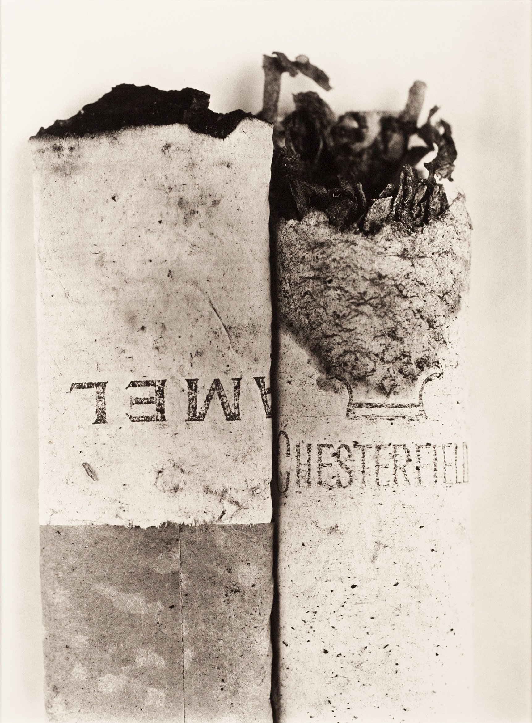 Irving Penn, Cigarettes: mẩu thuốc lá cháy dở phóng lớn, in bạch kim paladi tông xám bạc