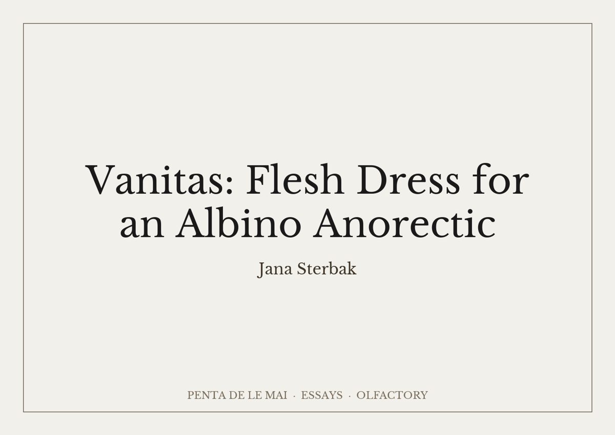 Jana Sterbak. Vanitas: Flesh Dress for an Albino Anorectic.