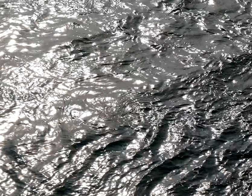 Triển lãm The Fragility of Complex Things của Joe Merrell: video, tranh in và nước hoa trong phòng trưng bày IAO