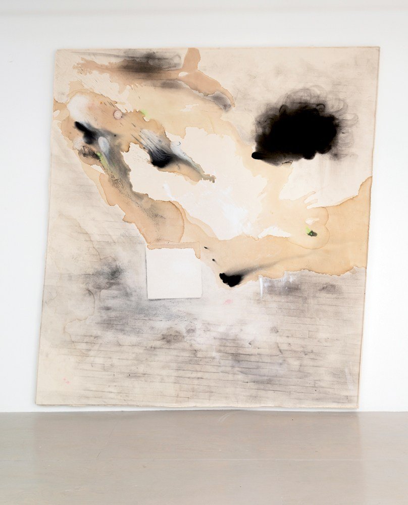 Lucy Dodd, Cake 4 Catfish: tranh khổ lớn vẽ bằng thảo mộc, khoáng chất và chất hữu cơ tại David Lewis Gallery