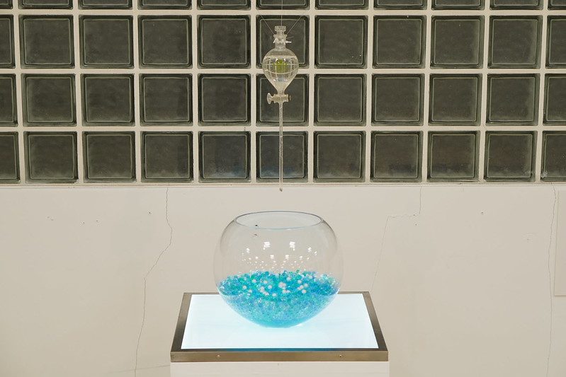 Maki Ueda. That Microplastics Smell Delicious!