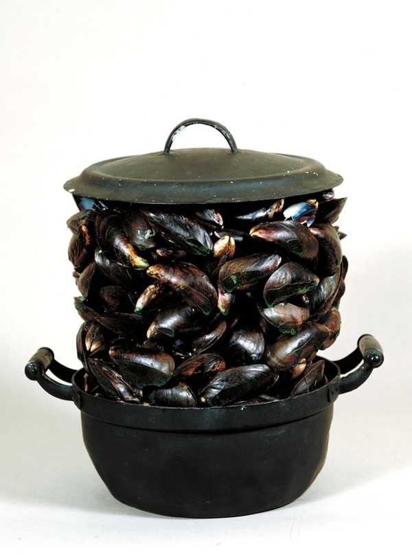 マルセル・ブロータース「Casserole and Closed Mussels」