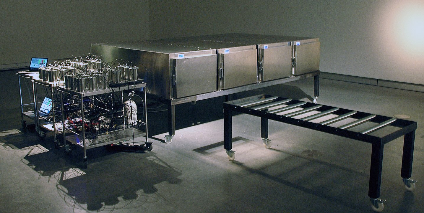 Polymorf, Famous Deaths: four metal mortuary freezer drawers used for a sound and scent installation