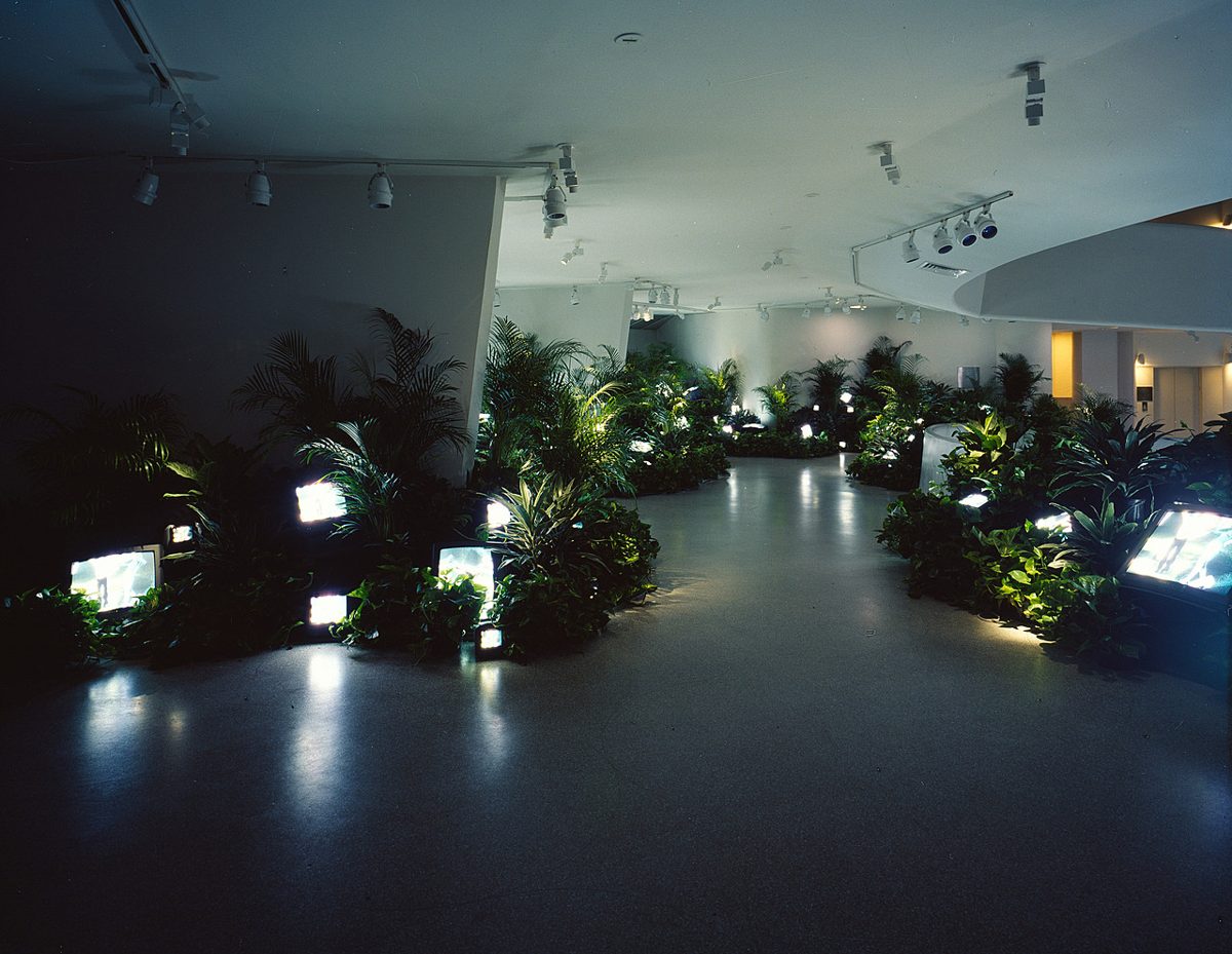 Nam June Paik. TV Garden.