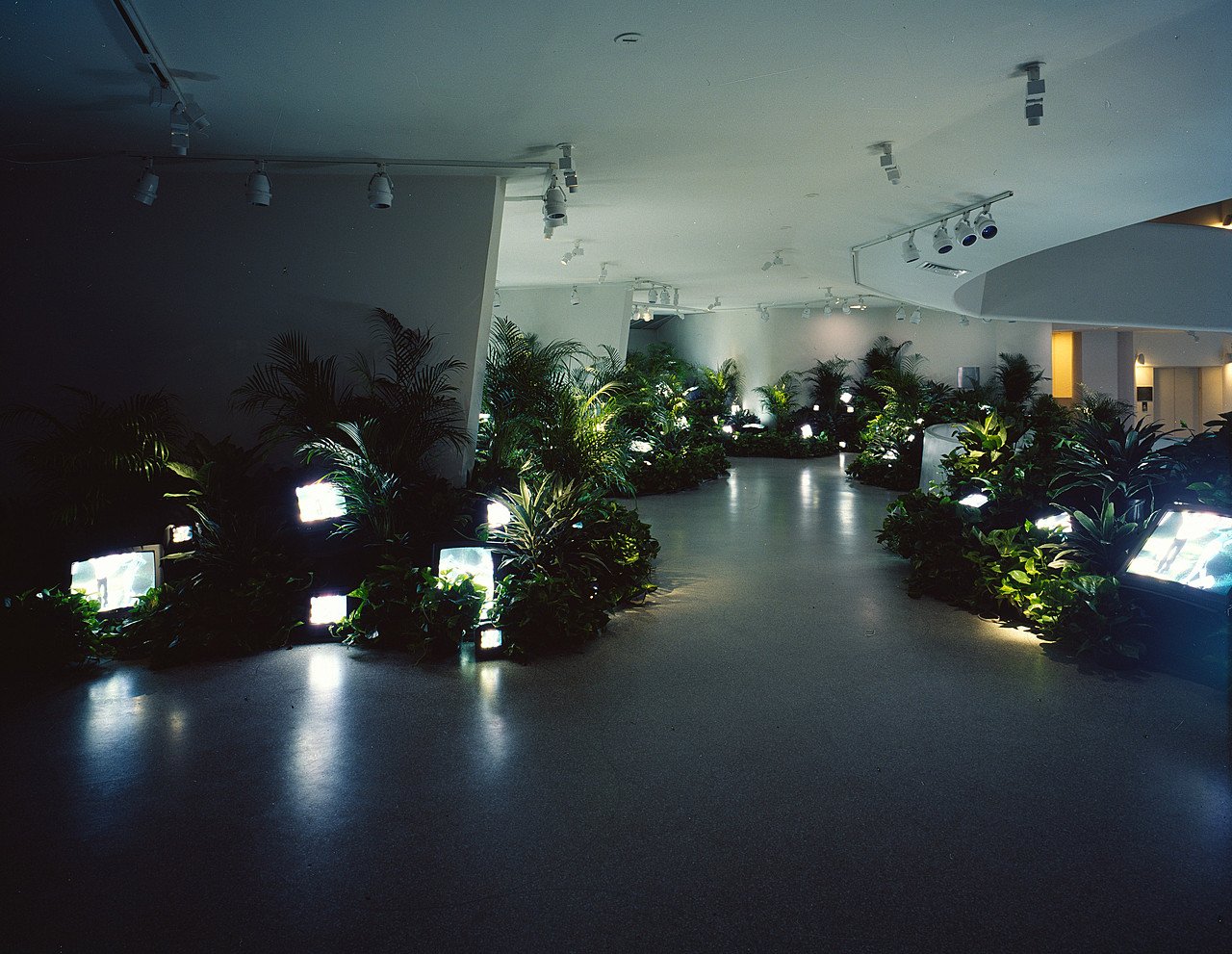 Nam June Paik, TV Garden: television monitors of many sizes set among living green plants