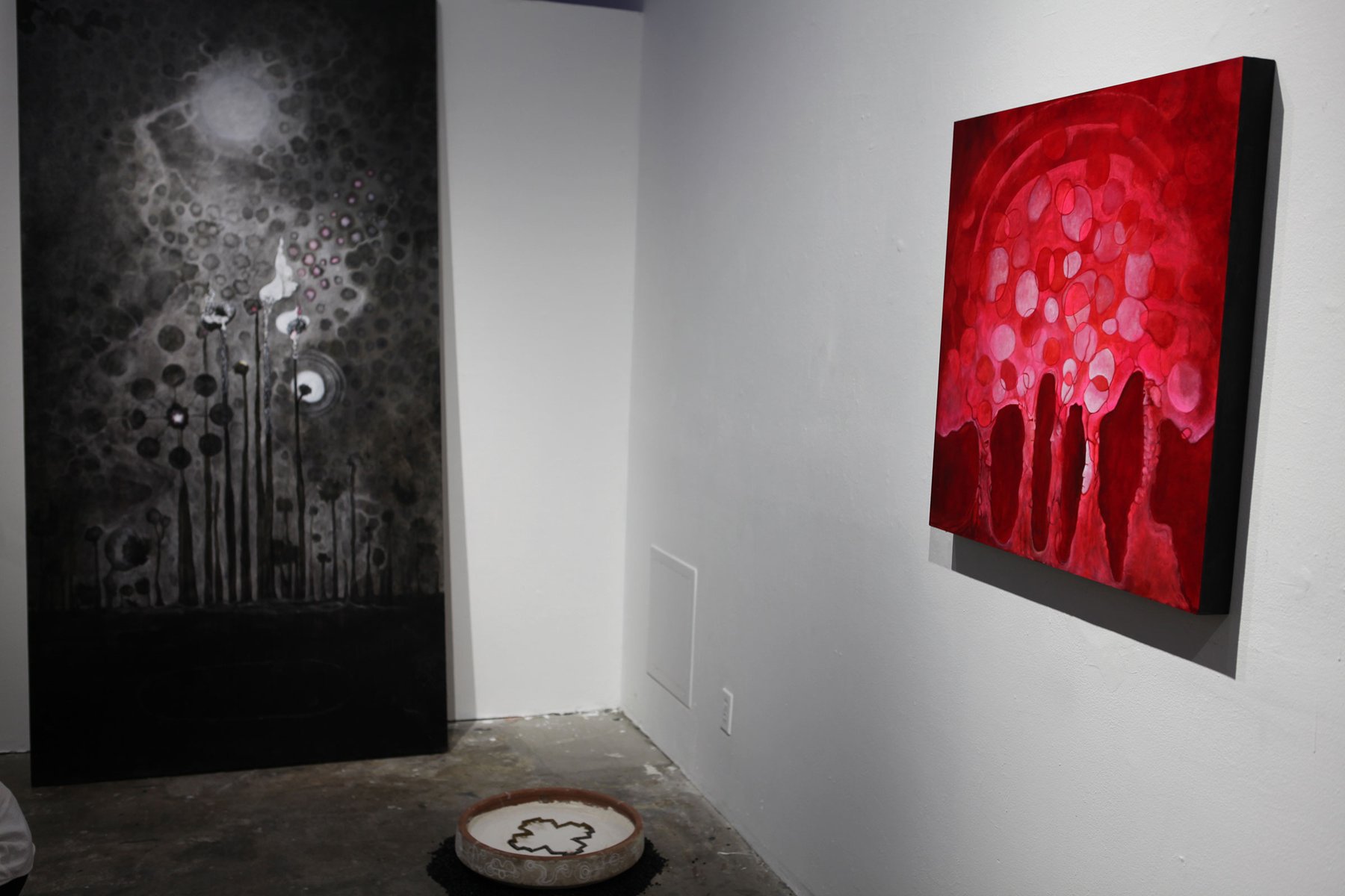 Persephenie's Praying to the Gods: plants, incense and self portraits placed low along the gallery floor and walls