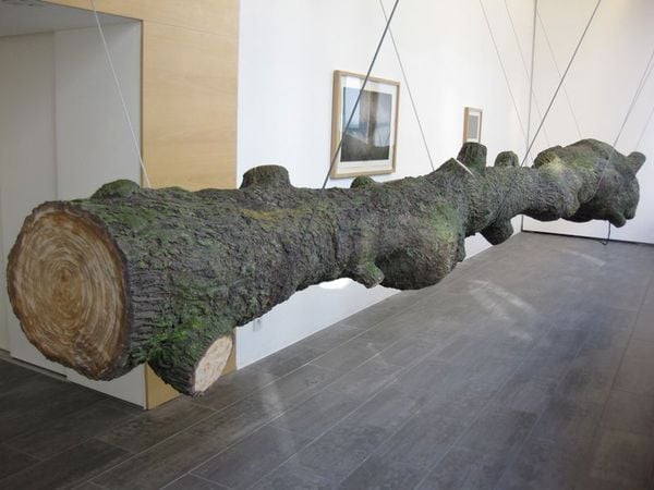 Peter De Cupere – The Olfactory Tree (2004)