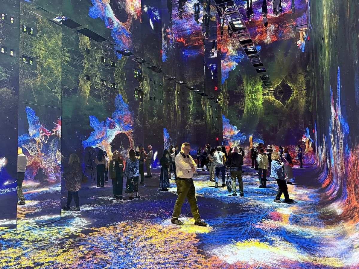 Refik Anadol, Machine Dreams: Rainforest at Dataland: machine generated flowers, fungi and trees projected across walls, floor and mirrors