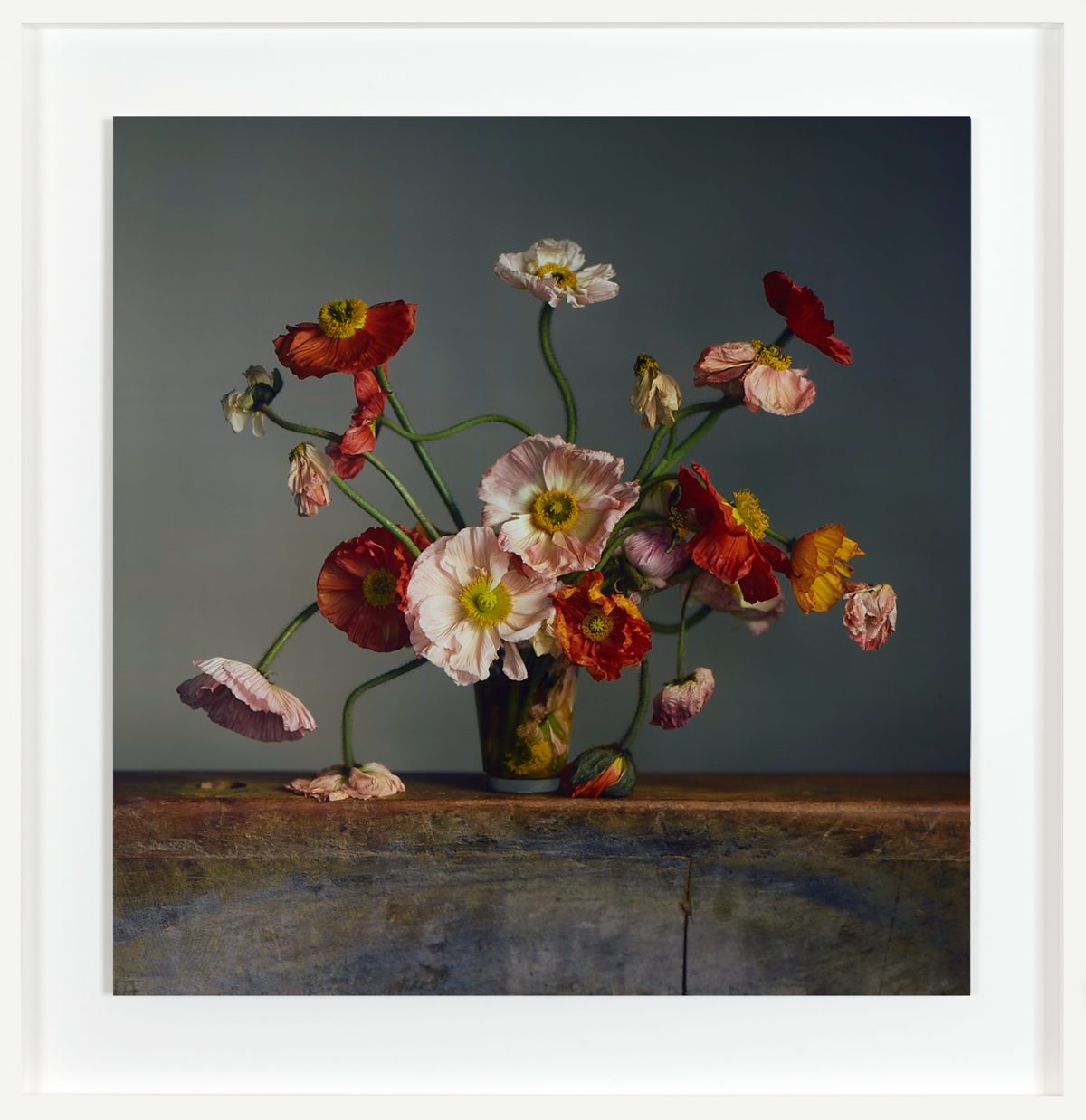 Richard Learoyd. Nature Morte.