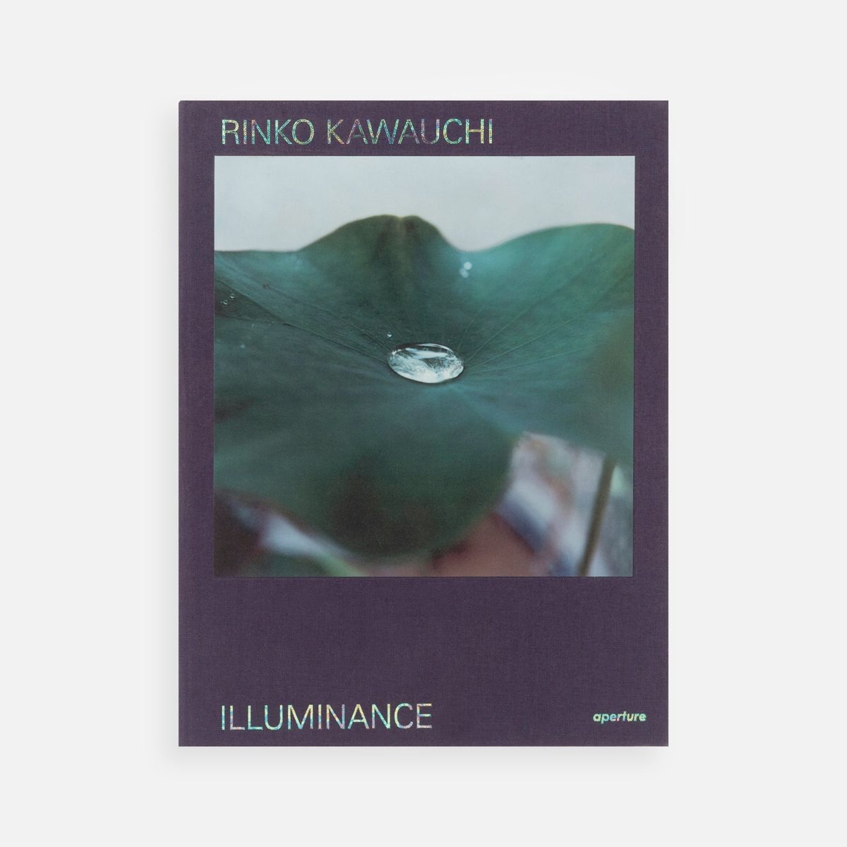 Rinko Kawauchi. Illuminance.