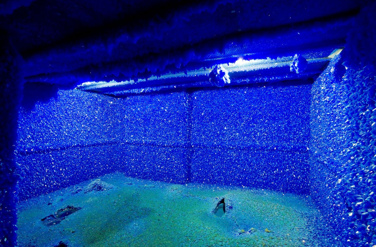 Roger Hiorns, Seizure: căn phòng phủ kín tinh thể đồng sunfat xanh lam trên tường, trần và sàn