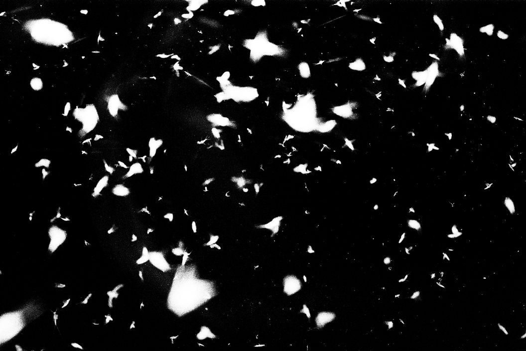 Sohrab Hura. Life is Elsewhere.