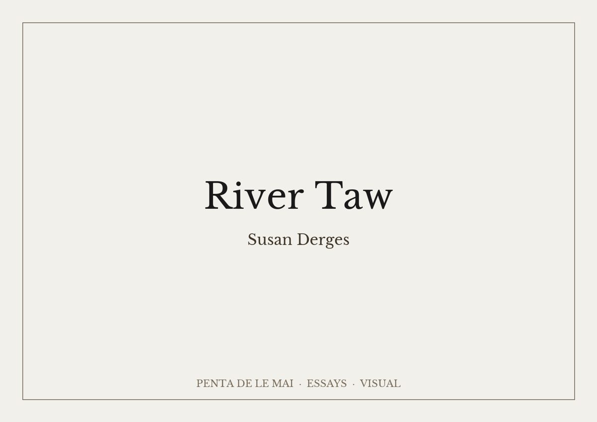 Susan Derges. River Taw.