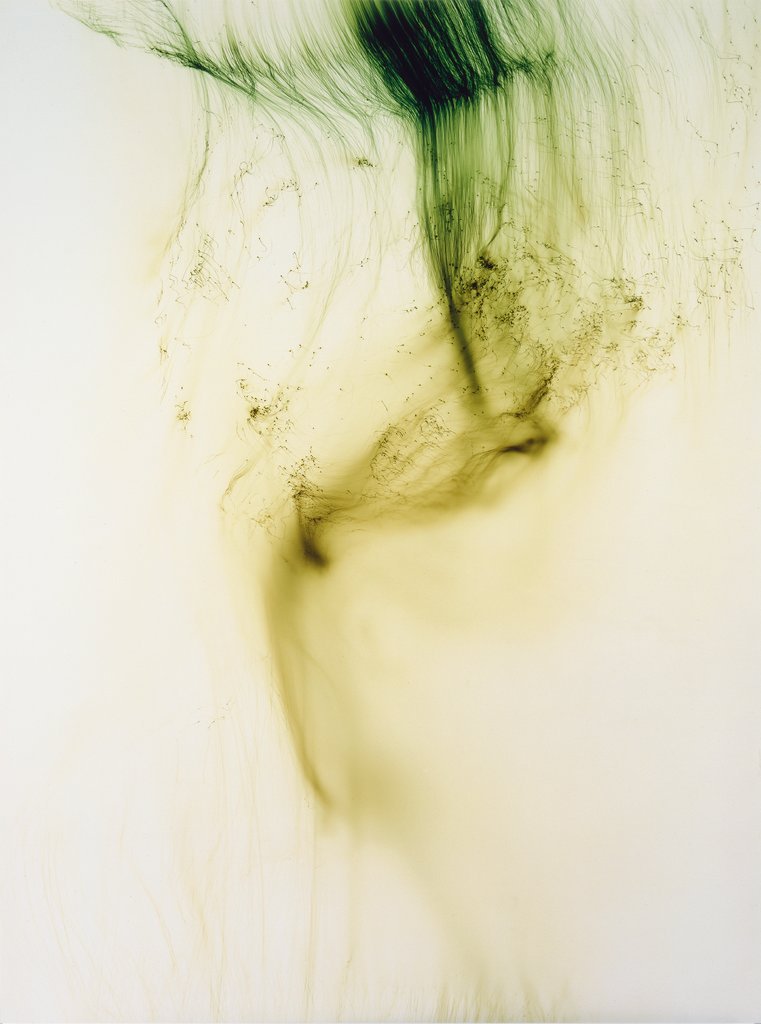 Wolfgang Tillmans, Freischwimmer 54: fine hair like strands of colour drifting on a dark ground, a large framed print