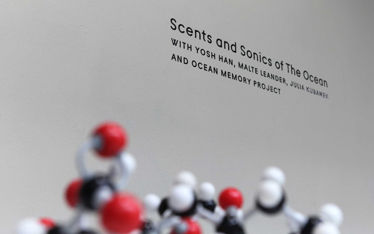 Scents and Sonics of The Ocean.