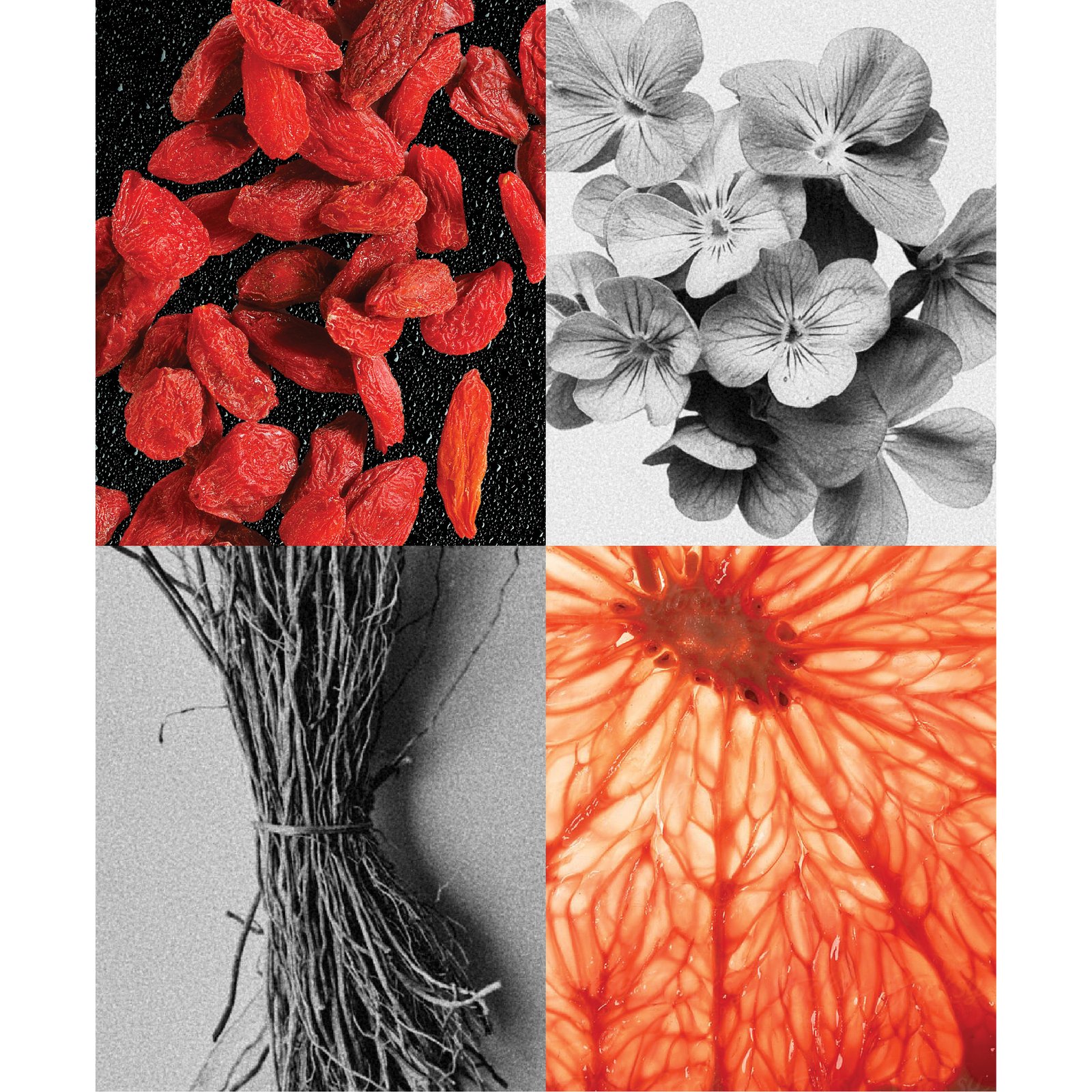 Goji Berry bottle