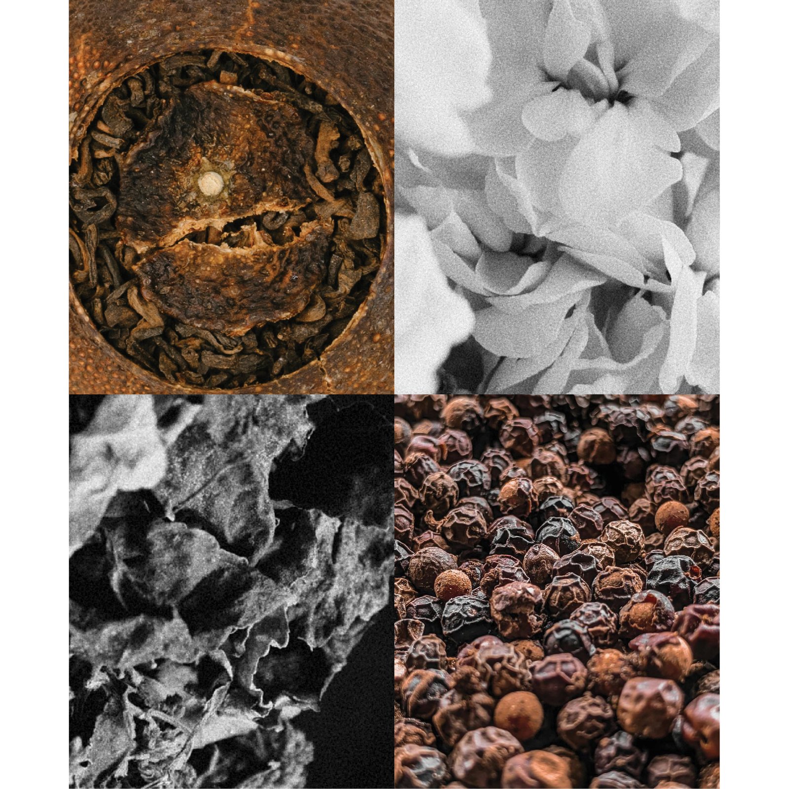 Orange Pu'er Tea bottle