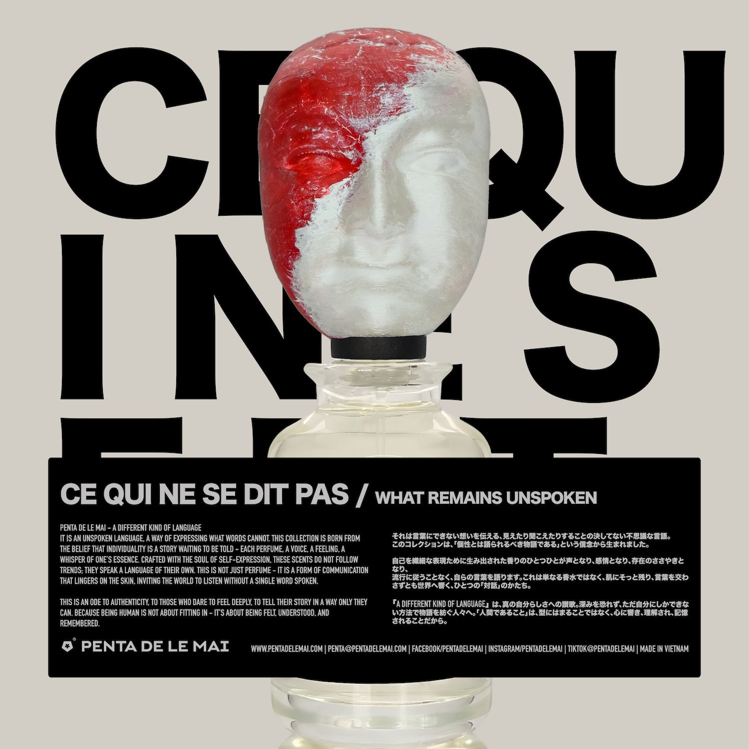 Ce qui ne se dit pas