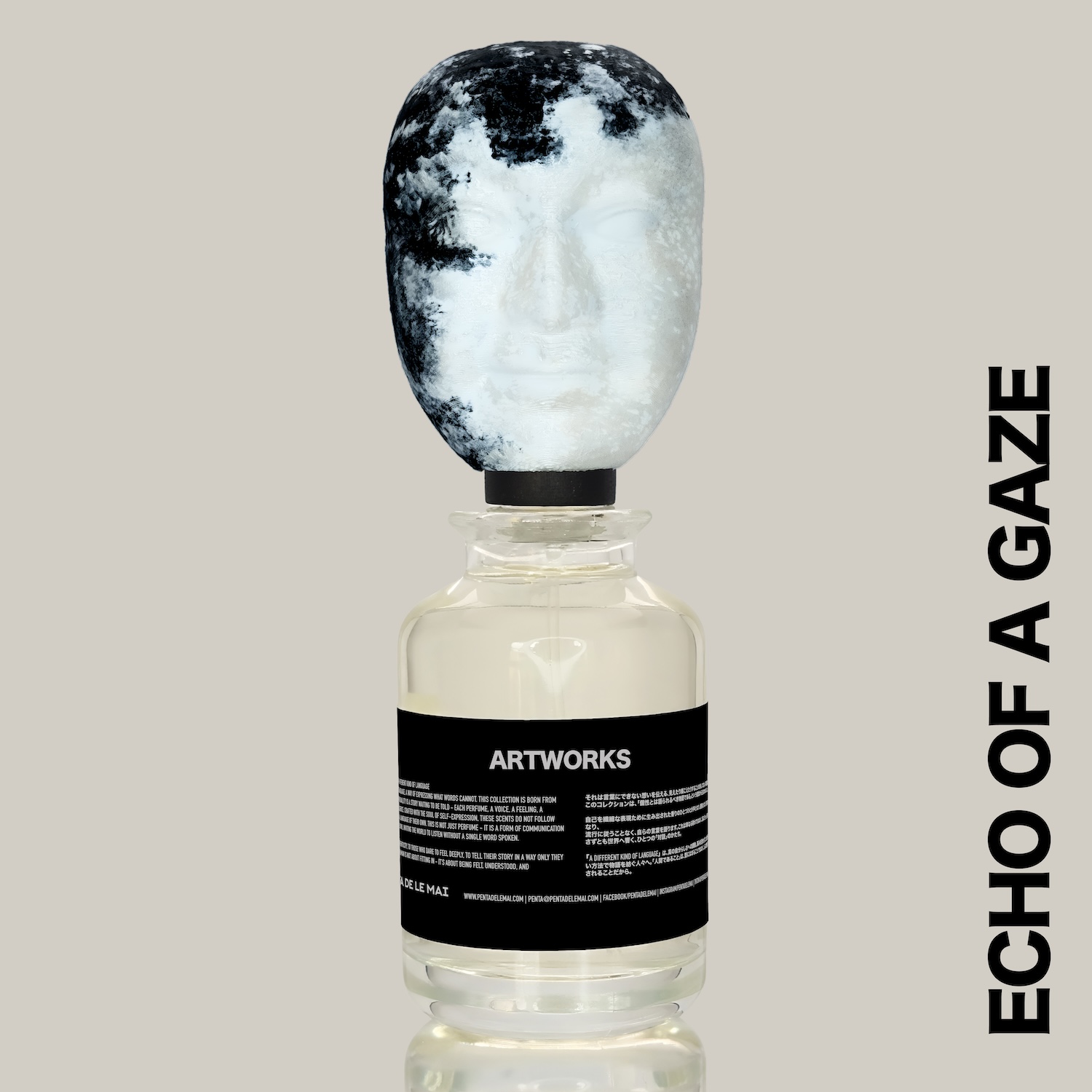 Echo of a Gaze — view 4