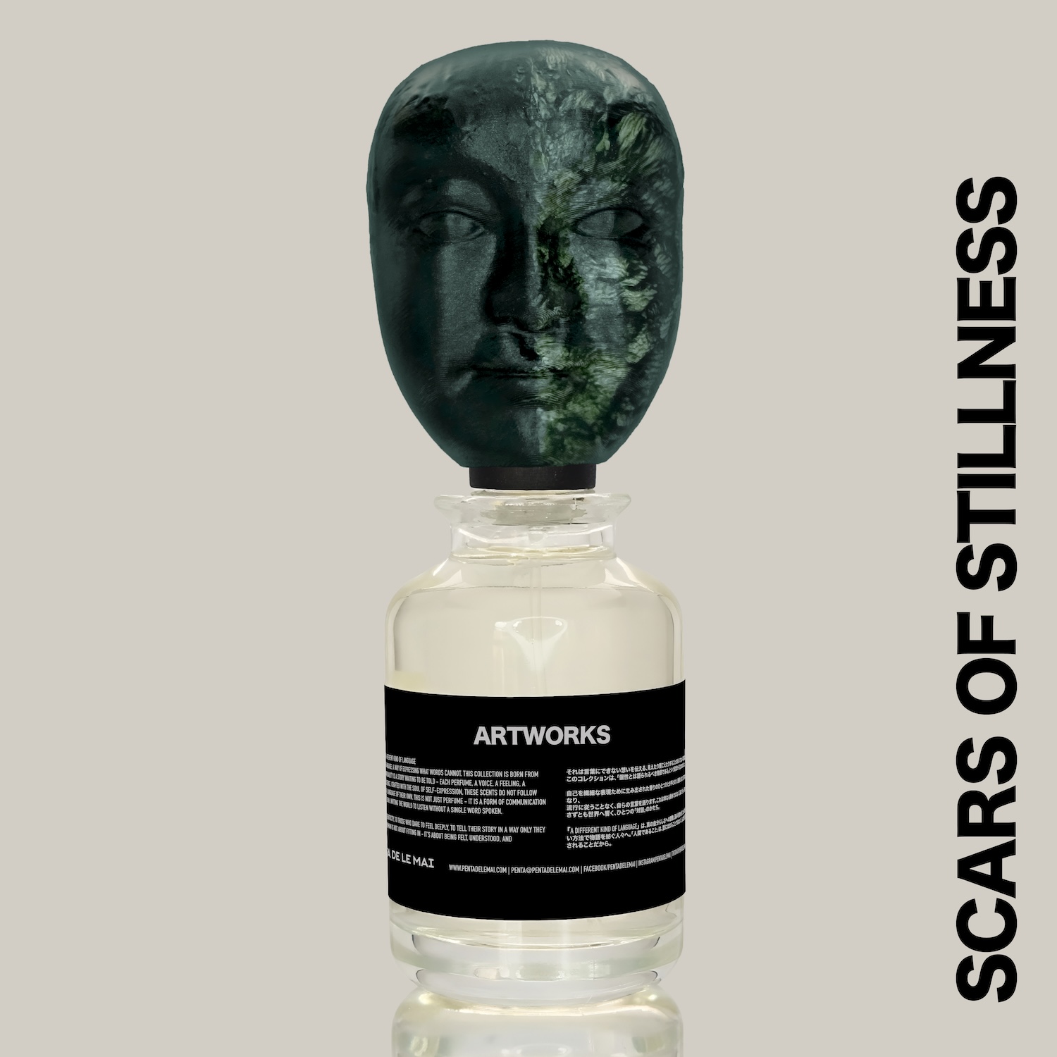 Scars of Stillness — view 4
